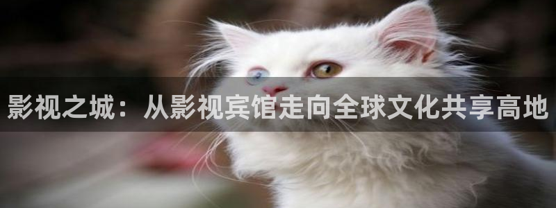 神马电影院达达兔影院