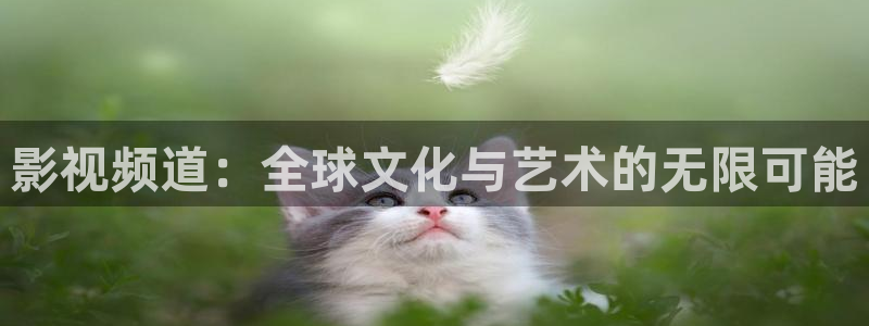 达达兔电视剧影视首页